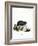 Black Hamster-null-Framed Giclee Print