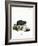 Black Hamster-null-Framed Giclee Print