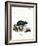 Black Hamster-null-Framed Giclee Print