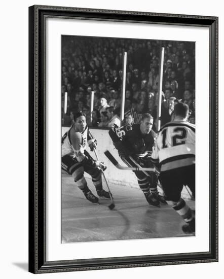 Black Hawks Player Bobby Hull in Game Against Montreal Canadians-Francis Miller-Framed Premium Photographic Print