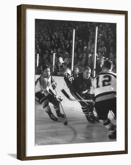 Black Hawks Player Bobby Hull in Game Against Montreal Canadians-Francis Miller-Framed Premium Photographic Print