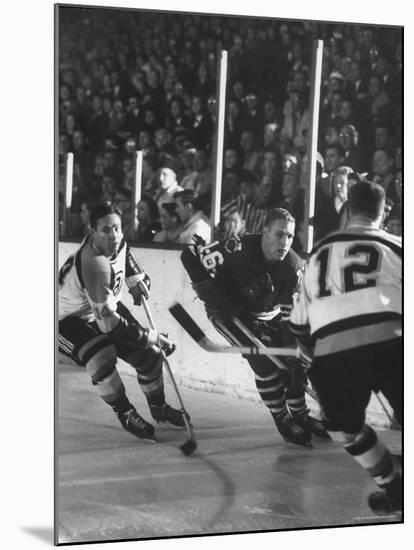 Black Hawks Player Bobby Hull in Game Against Montreal Canadians-Francis Miller-Mounted Premium Photographic Print