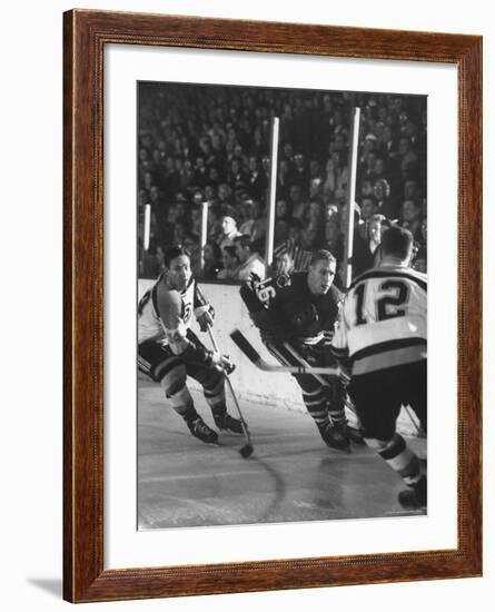 Black Hawks Player Bobby Hull in Game Against Montreal Canadians-Francis Miller-Framed Premium Photographic Print