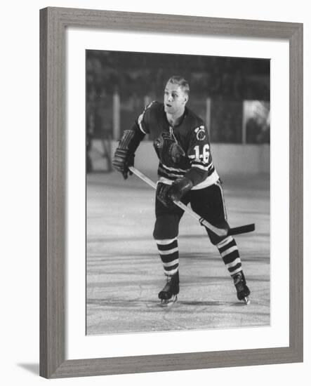 Black Hawks Player Bobby Hull in Game Against Montreal Canadians-Francis Miller-Framed Premium Photographic Print