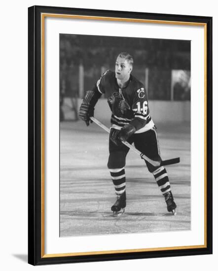 Black Hawks Player Bobby Hull in Game Against Montreal Canadians-Francis Miller-Framed Premium Photographic Print