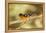 Black-Headed Grosbeak-Joe McDonald-Framed Premier Image Canvas