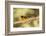 Black-Headed Grosbeak-Joe McDonald-Framed Photographic Print