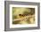 Black-Headed Grosbeak-Joe McDonald-Framed Photographic Print