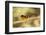 Black-Headed Grosbeak-Joe McDonald-Framed Photographic Print