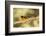 Black-Headed Grosbeak-Joe McDonald-Framed Photographic Print