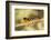 Black-Headed Grosbeak-Joe McDonald-Framed Photographic Print