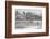 Black-headed gull flock flying, Wiltshire, UK-Nick Upton-Framed Photographic Print