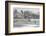 Black-headed gull flock flying, Wiltshire, UK-Nick Upton-Framed Photographic Print