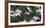 Black-Headed Gulls (Chroicocephalus Ridibundus) Abstract Of Group In Flight-Florian Möllers-Framed Photographic Print