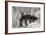 Black Hills RR I-George Johnson-Framed Photographic Print