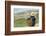 Black Hmong Ethnic Group and Rice Fields, Sapa Area, Vietnam, Indochina, Southeast Asia, Asia-Bruno Morandi-Framed Photographic Print