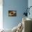 Black Hole, Artwork-Laguna Design-Photographic Print displayed on a wall