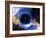 Black Hole, Conceptual Artwork-Victor Habbick-Framed Photographic Print