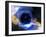 Black Hole, Conceptual Artwork-Victor Habbick-Framed Photographic Print