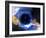 Black Hole, Conceptual Artwork-Victor Habbick-Framed Photographic Print