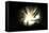 Black Hole-Christian Darkin-Framed Premier Image Canvas