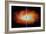 Black Hole-Chris Butler-Framed Photographic Print