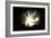 Black Hole-Christian Darkin-Framed Photographic Print