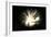 Black Hole-Christian Darkin-Framed Photographic Print