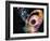 Black Hole-Victor Habbick-Framed Photographic Print