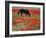 Black Horse in a Poppy Field, Chianti, Tuscany, Italy, Europe-Patrick Dieudonne-Framed Photographic Print