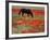 Black Horse in a Poppy Field, Chianti, Tuscany, Italy, Europe-Patrick Dieudonne-Framed Photographic Print