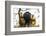 Black Howler Monkeys (Alouatta Caraya) Male and Two Females Calling from Tree-Juan Carlos Munoz-Framed Photographic Print