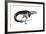 Black Ink Drawing of Alioramus Remotus-null-Framed Art Print