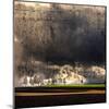 Black Ink Sky-Philippe Sainte-Laudy-Mounted Premium Photographic Print