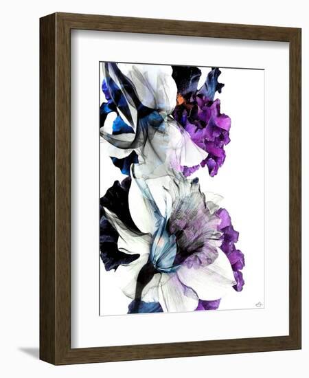 Black Iris Fancy-Stella Chang-Framed Art Print