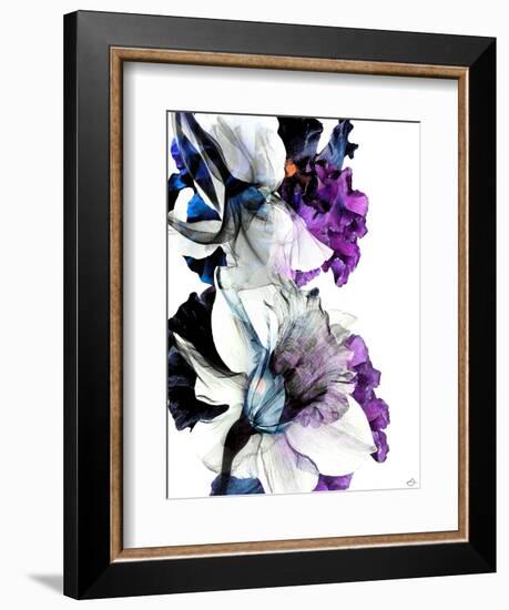 Black Iris Fancy-Stella Chang-Framed Art Print