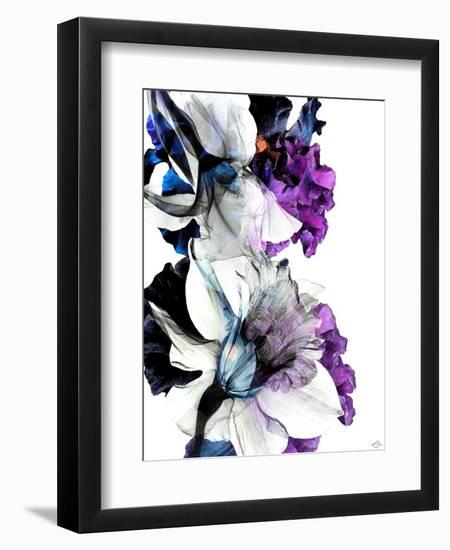 Black Iris Fancy-Stella Chang-Framed Art Print