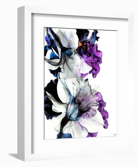 Black Iris Fancy-Stella Chang-Framed Art Print