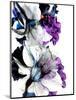 Black Iris Fancy-Stella Chang-Mounted Art Print