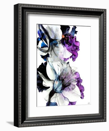 Black Iris Fancy-Stella Chang-Framed Art Print