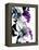 Black Iris Fancy-Stella Chang-Framed Stretched Canvas