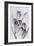 Black Iris-Jacob Q-Framed Art Print