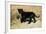 Black Jaguar (Panthera Onca) Kitten, Captive-Charlie Summers-Framed Photographic Print