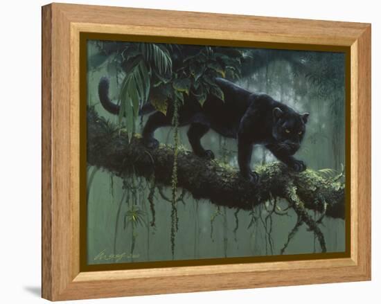 Black Jaguar-Harro Maass-Framed Premier Image Canvas