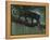 Black Jaguar-Harro Maass-Framed Premier Image Canvas