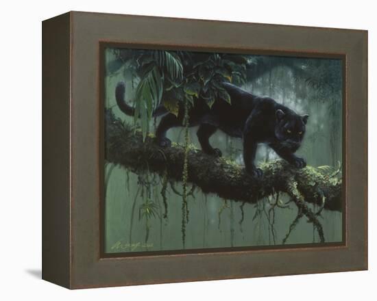 Black Jaguar-Harro Maass-Framed Premier Image Canvas