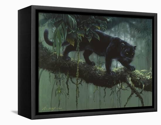 Black Jaguar-Harro Maass-Framed Premier Image Canvas