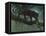 Black Jaguar-Harro Maass-Framed Premier Image Canvas