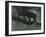 Black Jaguar-Harro Maass-Framed Giclee Print