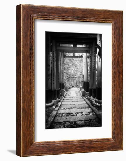 Black Japan Collection - Follow the path-Philippe Hugonnard-Framed Photographic Print